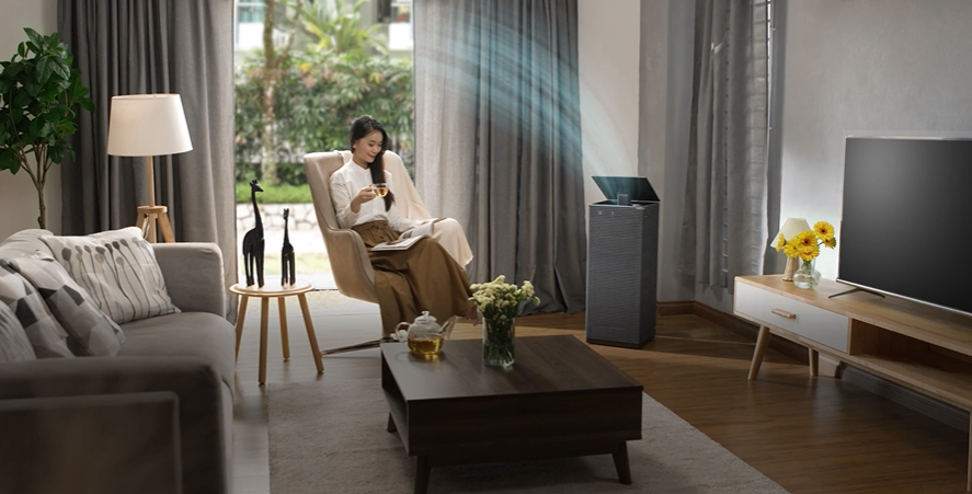 Coway Air Purifier